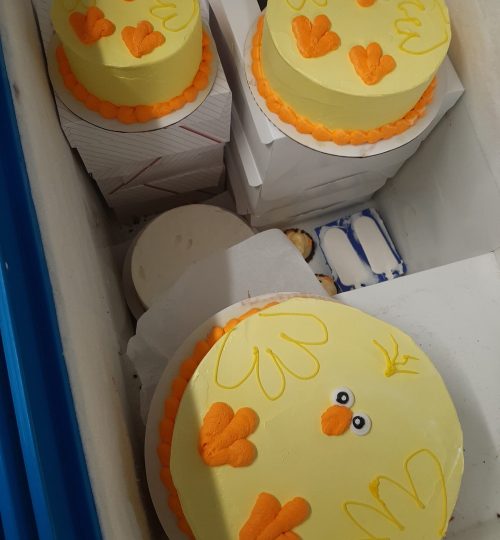 Easter Chick Cake by Joe's Dairy Bar